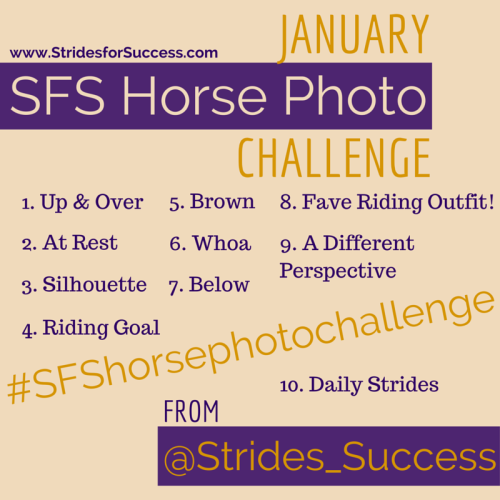 January Horse Photo Challenge#SFSHorsePhotoChallenge